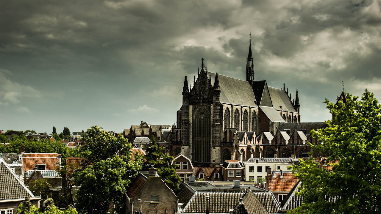 Website ontwikkelen Leiden